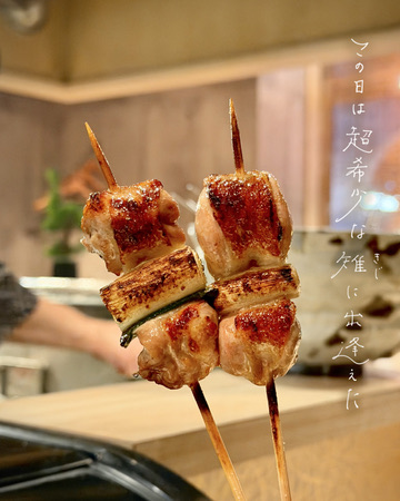 訪問日にコースへ追加していただいたキジの串2本